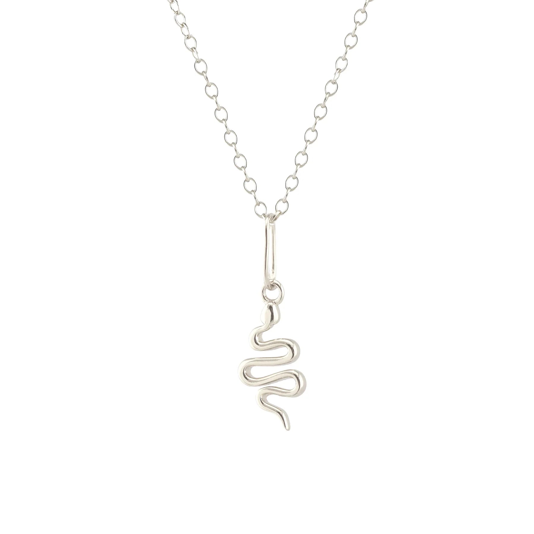 Necklaces and pendants with ocean-inspired designs for a refreshing, beachy feel-Snake Charm Necklace